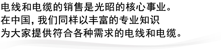 
电线和电缆的销售是光昭的核心事业。
在中国，我们同样以丰富的专业知识
为大家提供符合各种需求的电线和电缆。



